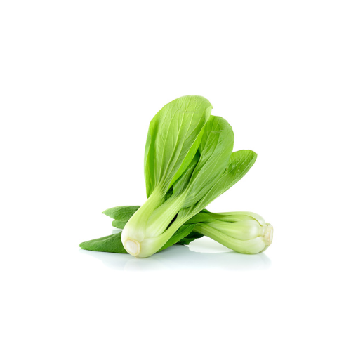 Bok Choy Pre-seeded Seed Pack (Galleri/Galleri Lite)