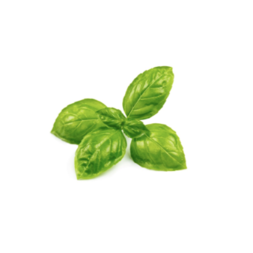 Genovese Basil Pre-seeded Seed Pack (Galleri/Galleri Lite)