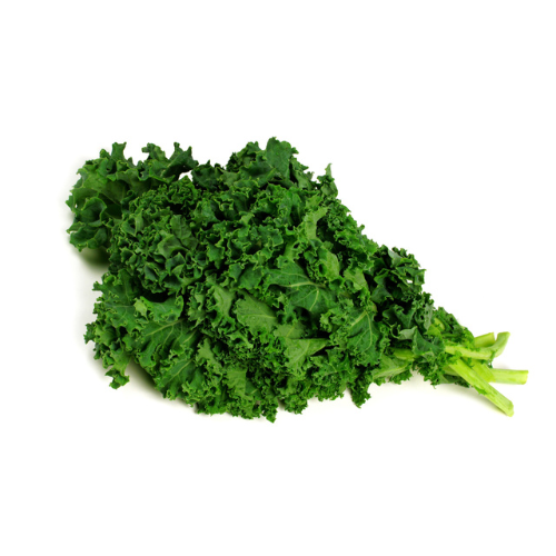 Kale Pre-seeded Seed Pack (Galleri/Galleri Lite)