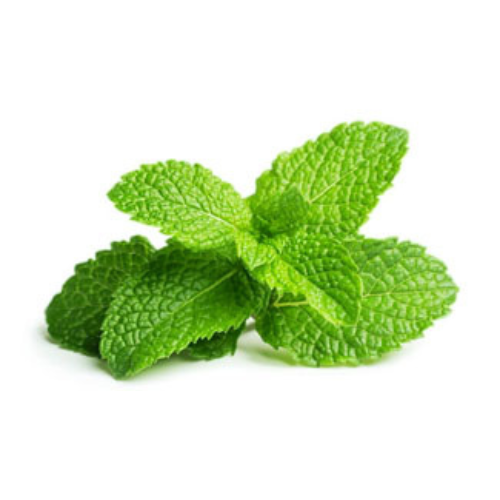 Mint Pre-seeded Seed Pack (Galleri/Galleri Lite)
