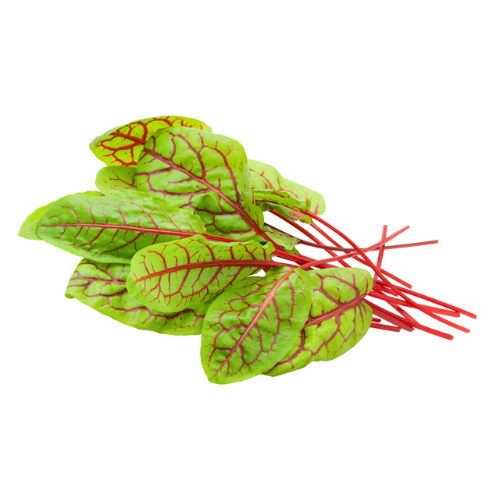 Red-Veined Sorrel Pre-seeded Seed Pack (Galleri/Galleri Lite)