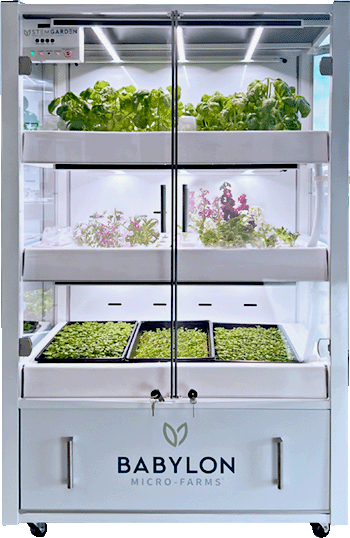 Microgreen Starter Kit - Single Tier
