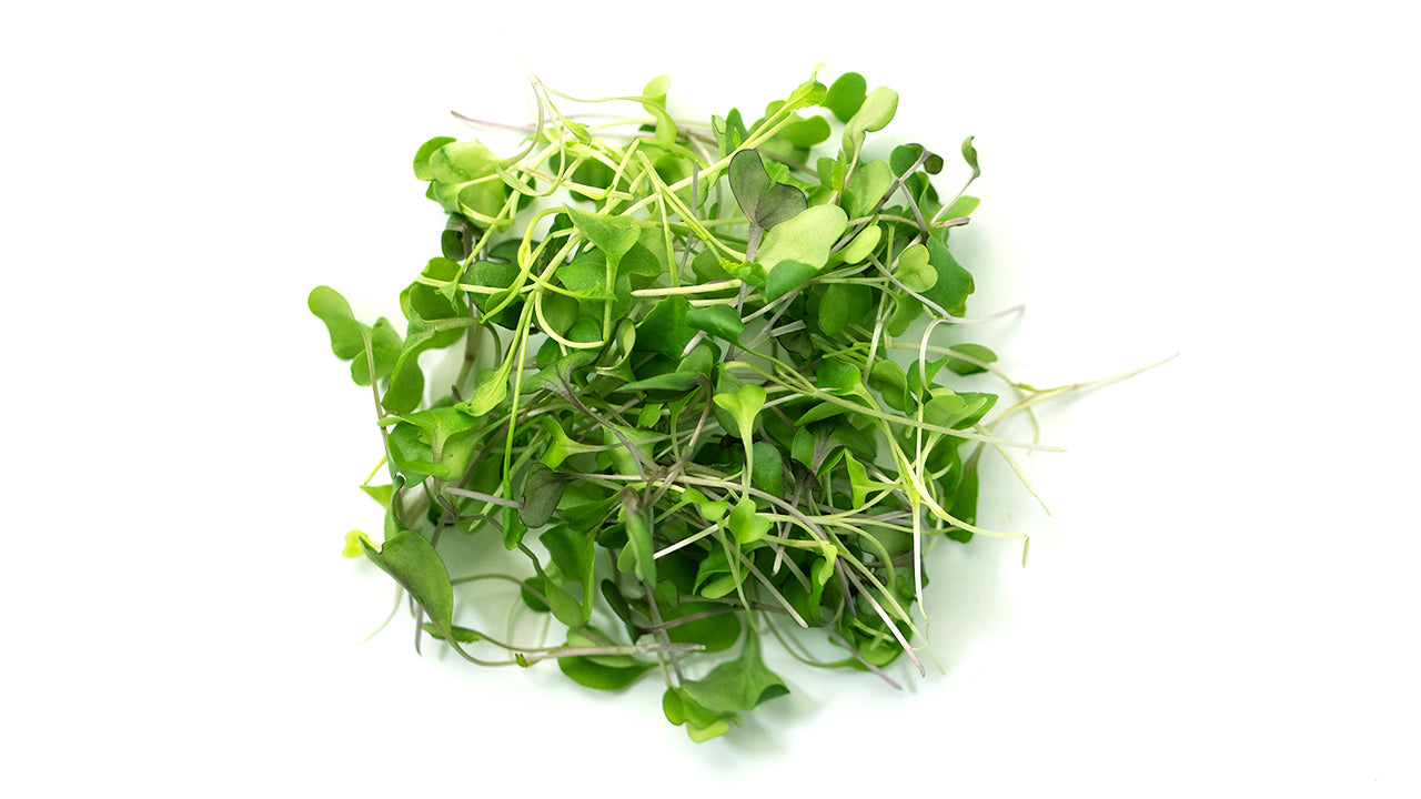 Sharp Mix Microgreen Seed Bundle (Galleri/Galleri Lite)