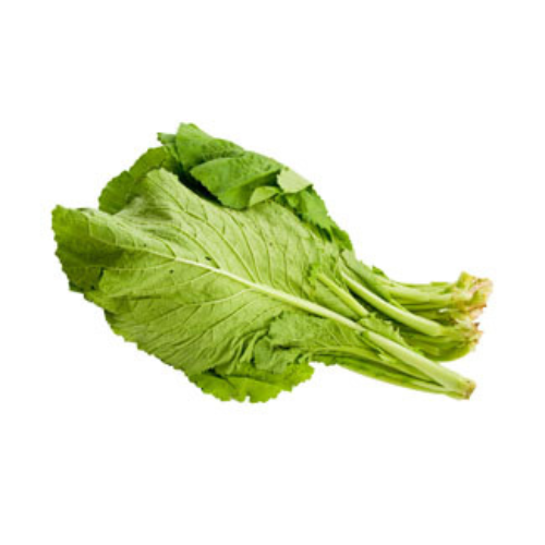 Mustard Greens Pre-seeded Seed Pack (Galleri/Galleri Lite)