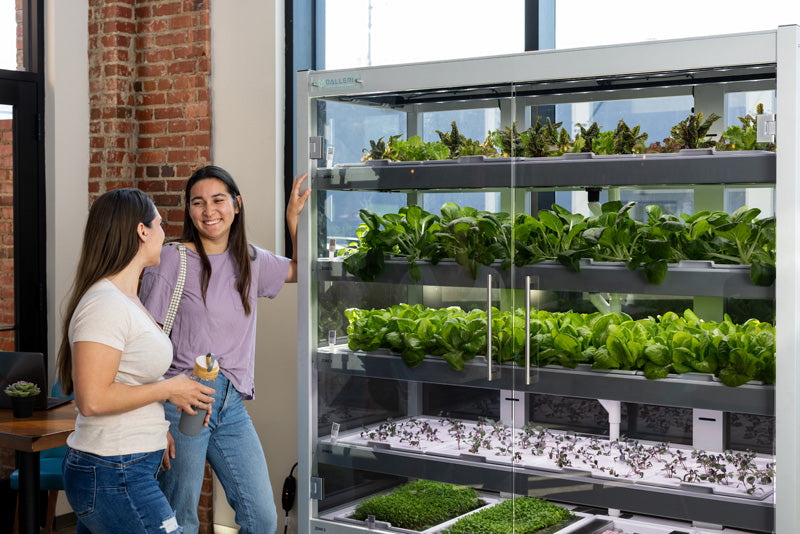 Galleri Micro-Farm