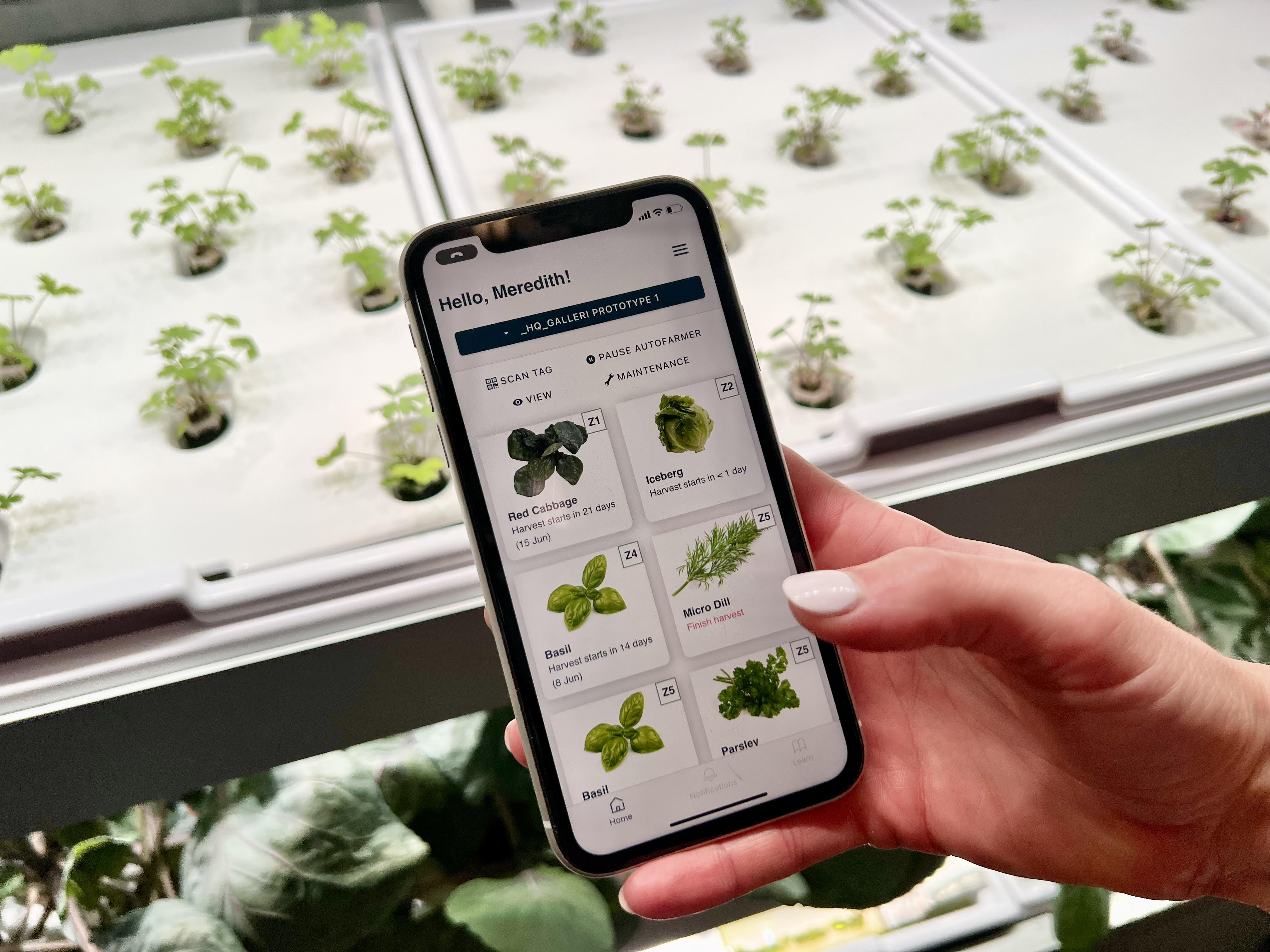 Galleri Micro-Farm
