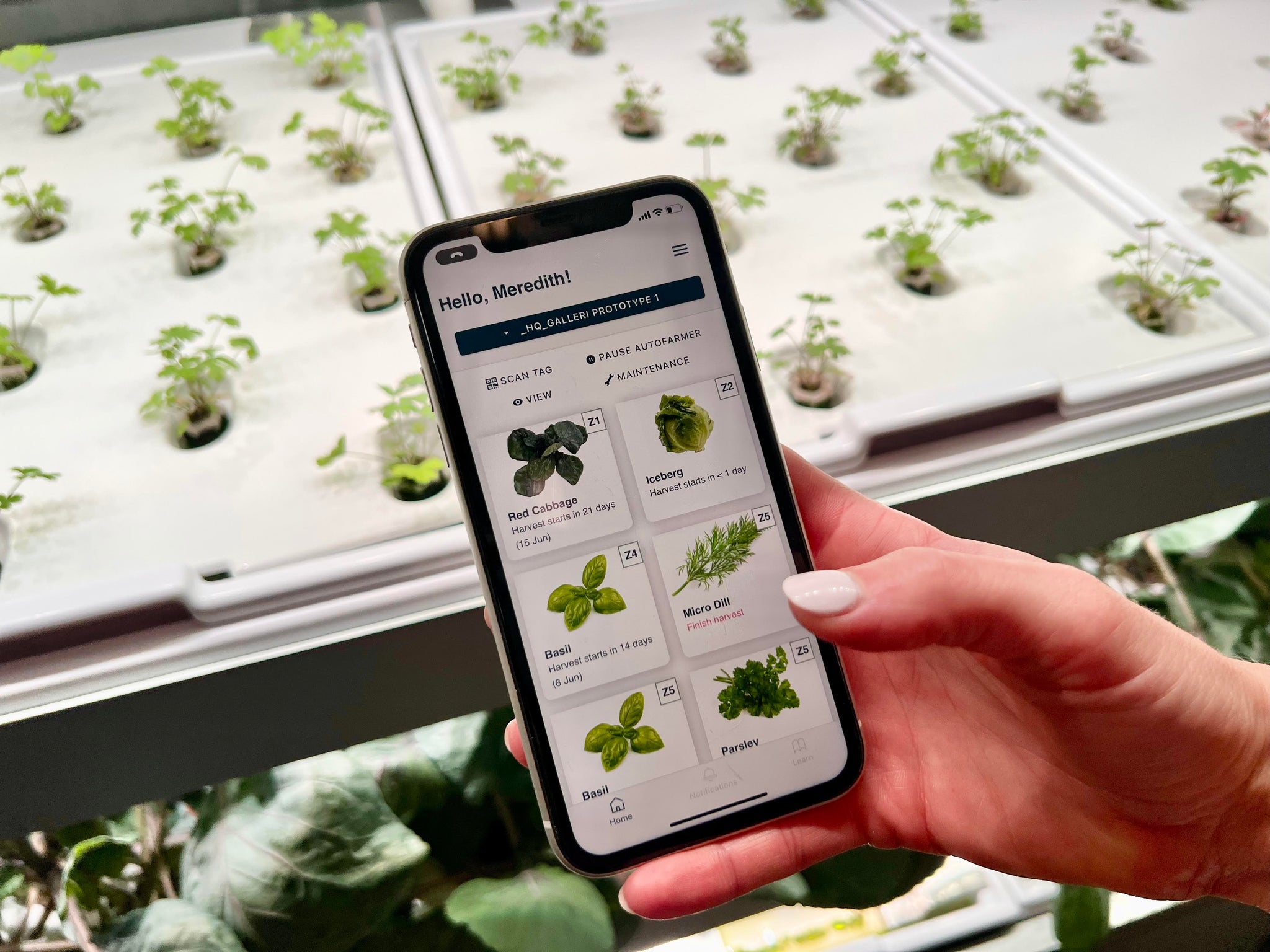 Galleri Micro-Farm
