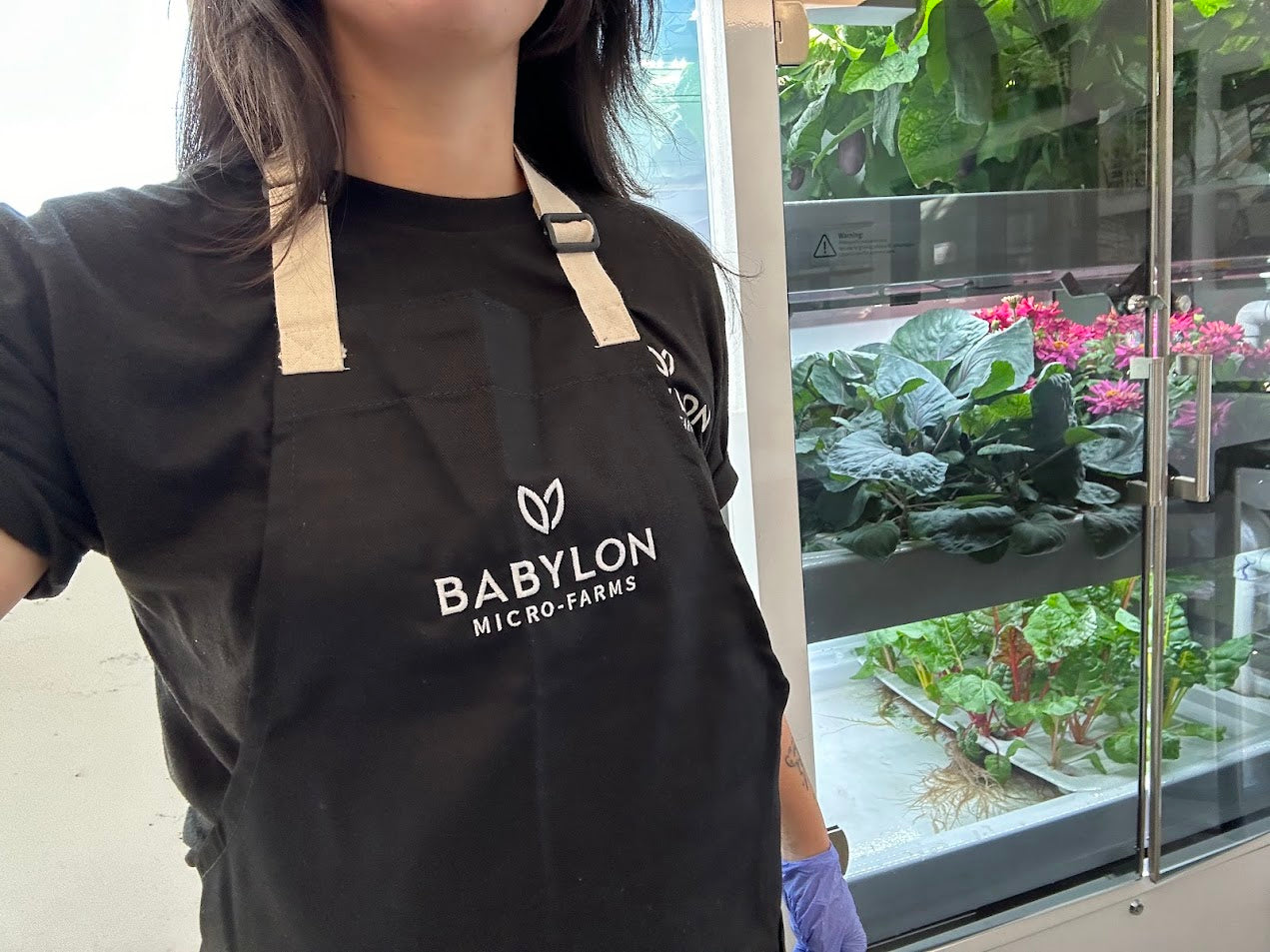 Babylon-Branded Apron