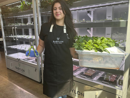 Storage Tote/Tray For Removing Crops