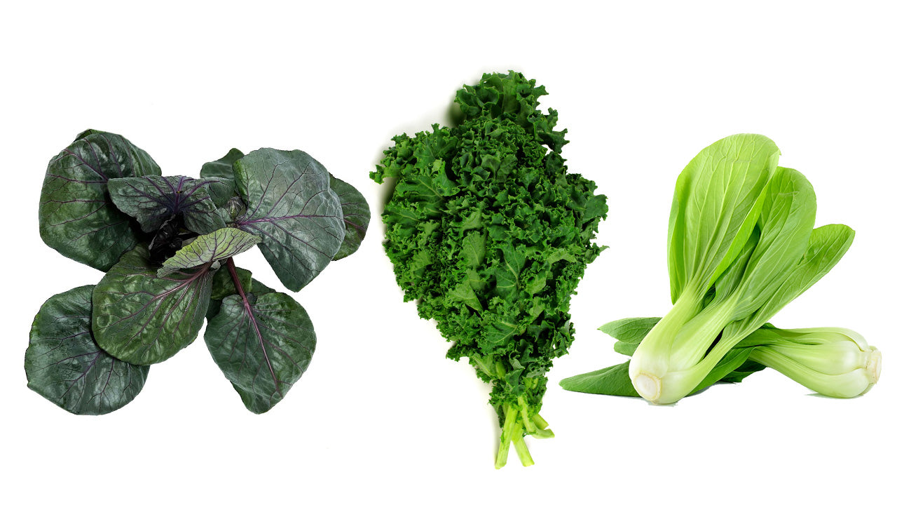 Leafy Green Bundle - Kale, Cabbage, Bok Choy
