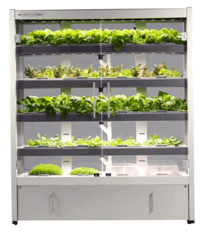 Galleri Micro-Farm