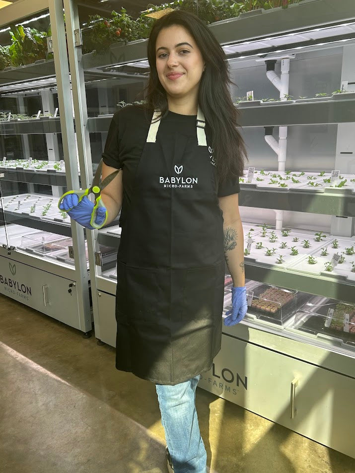 Babylon-Branded Apron