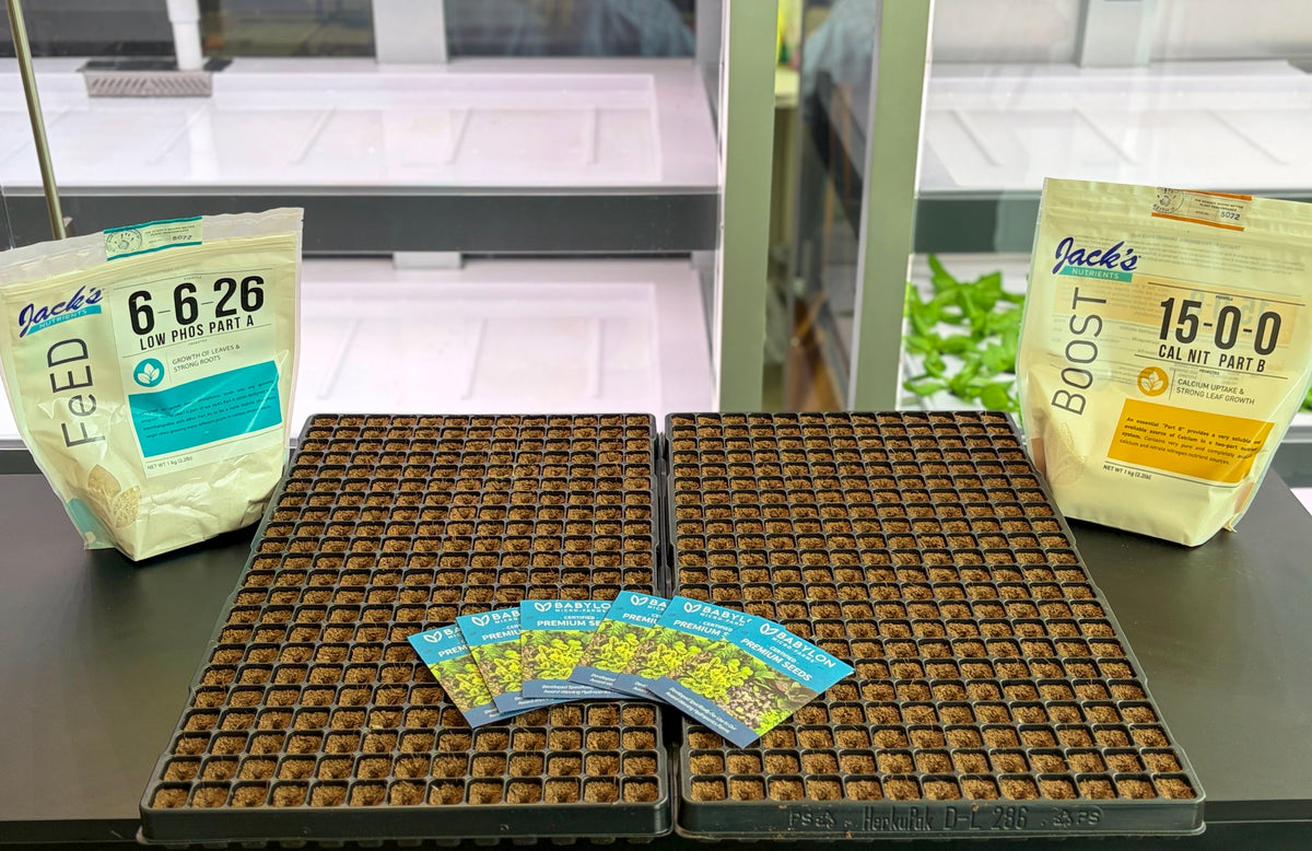 Starter Growing Kit (STEM Garden)