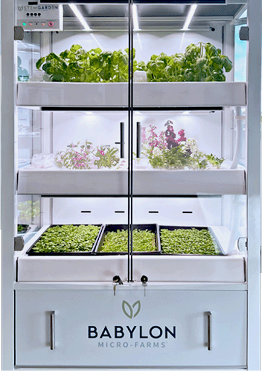 STEM Garden Micro-Farm