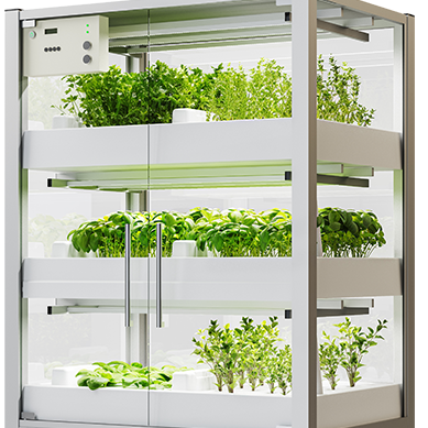 STEM Garden Micro-Farm