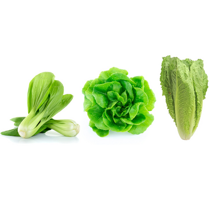 Lettuce & Leafy Green Bundle - Green Butterhead, Bok Choy, Romaine