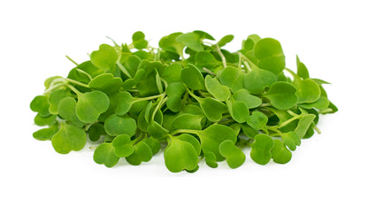 Microgreen Starter Kit - Single Tier