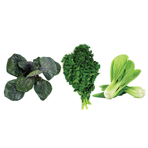 Leafy Green Bundle - Kale, Cabbage, Bok Choy