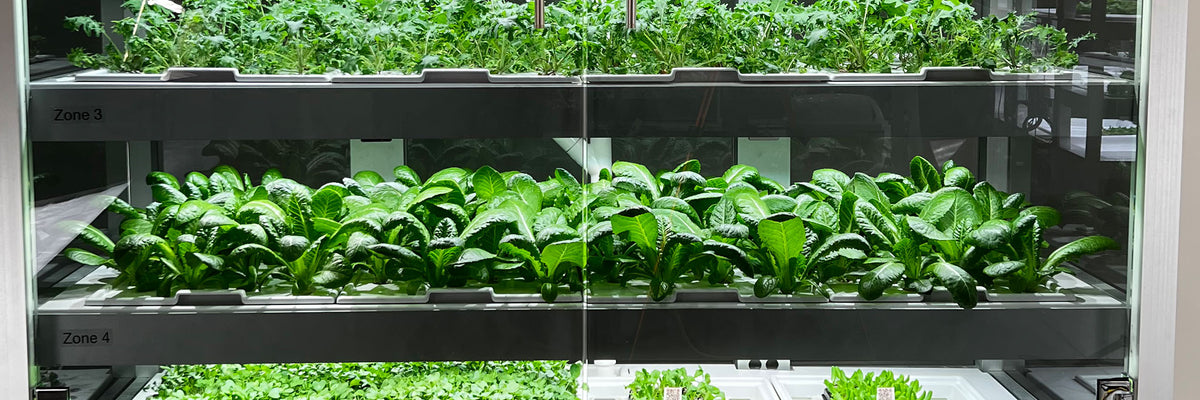 Babylon Micro-Farm Shop – Babylon Micro-Farms Supplies