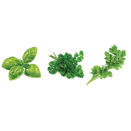 Herb Bundle - Genovese Basil, Parsley, Cilantro