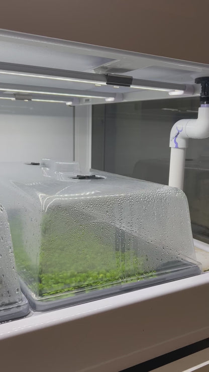 Humidity Dome (STEM Garden and v6)