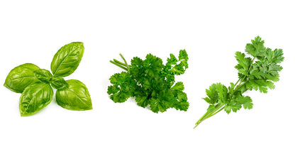 Herb Bundle - Genovese Basil, Parsley, Cilantro